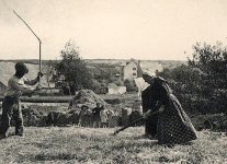 Histoire